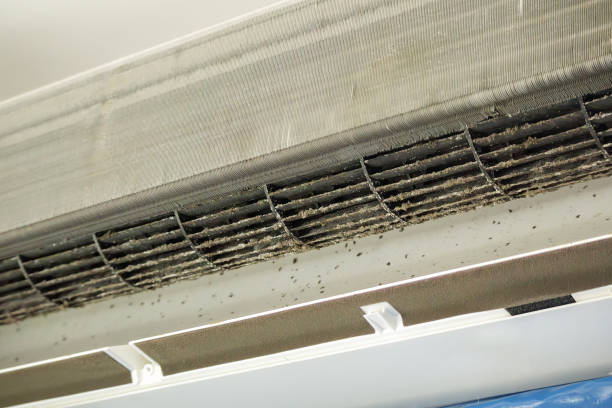 Best Air Vent Cleaning Services  in Fairmount, GA
